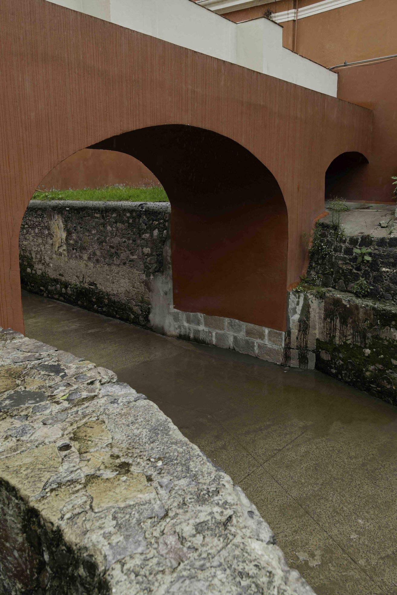 Nueva etapa de crecimiento